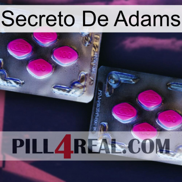 Adams Secret 01.jpg